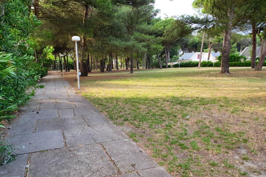 Studio Cabines 6 Couchages 150 M De La Plage Et A Quelques Secondes Des Commerces Wifi Gratuit La Grande Motte Dış mekan fotoğraf